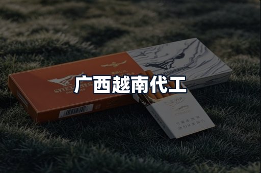 广西越南代工